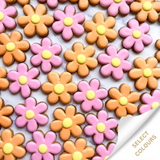 Mini Daisy Iced Biscuit Bundles