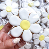 hand iced daisy biscuits flower biscuits