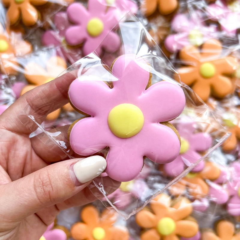 Mini Daisy Iced Biscuit Bundles