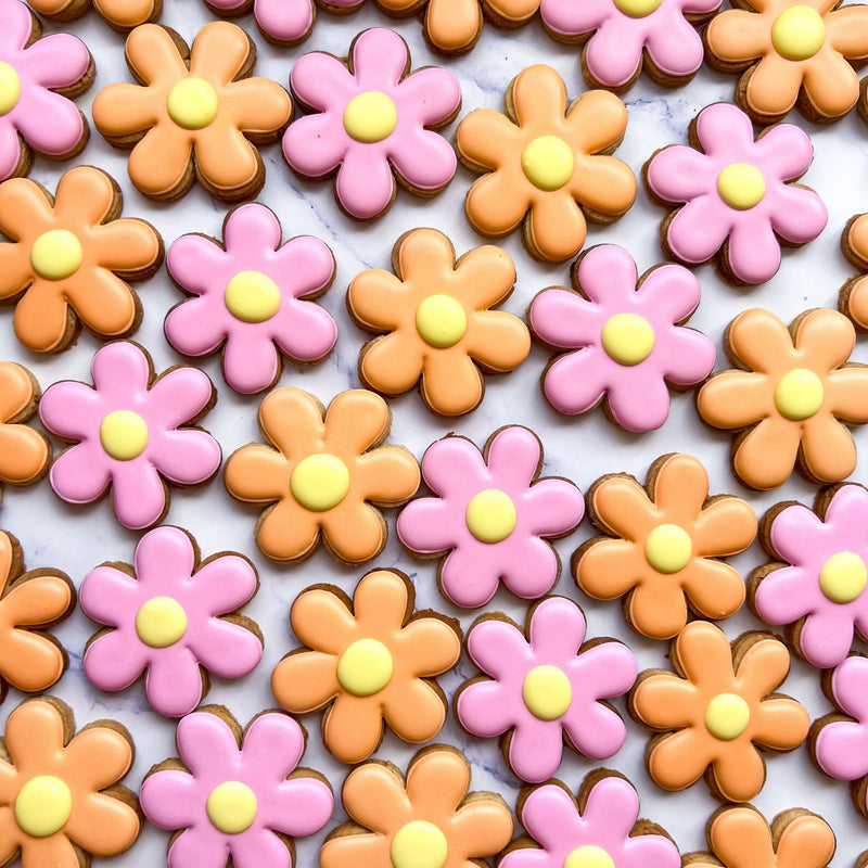Mini Daisy Iced Biscuit Bundles