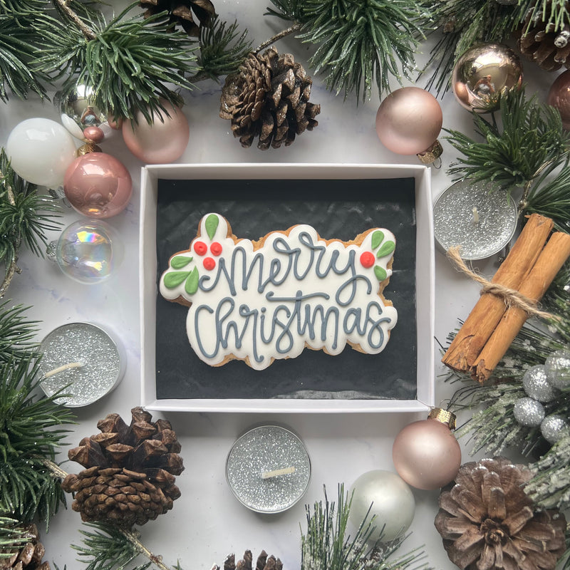 Christmas biscuit