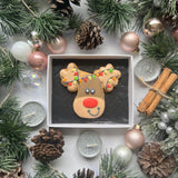 Reindeer Iced Biscuit