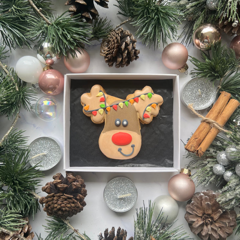 Reindeer Iced Biscuit