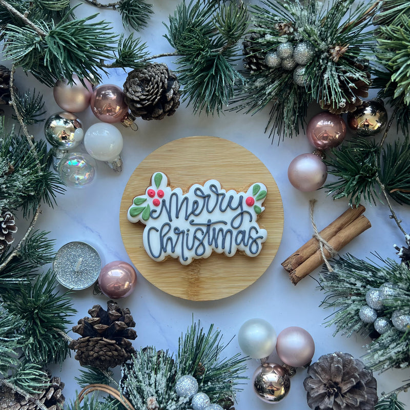Christmas biscuit