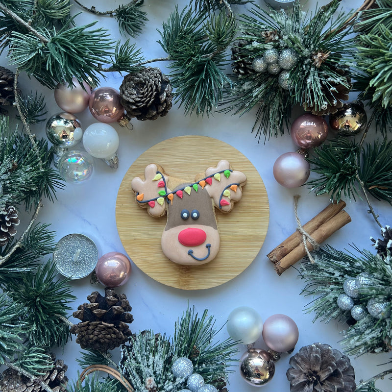Reindeer Iced Biscuit