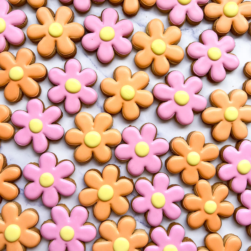 mini hand iced daisy biscuits flower biscuits